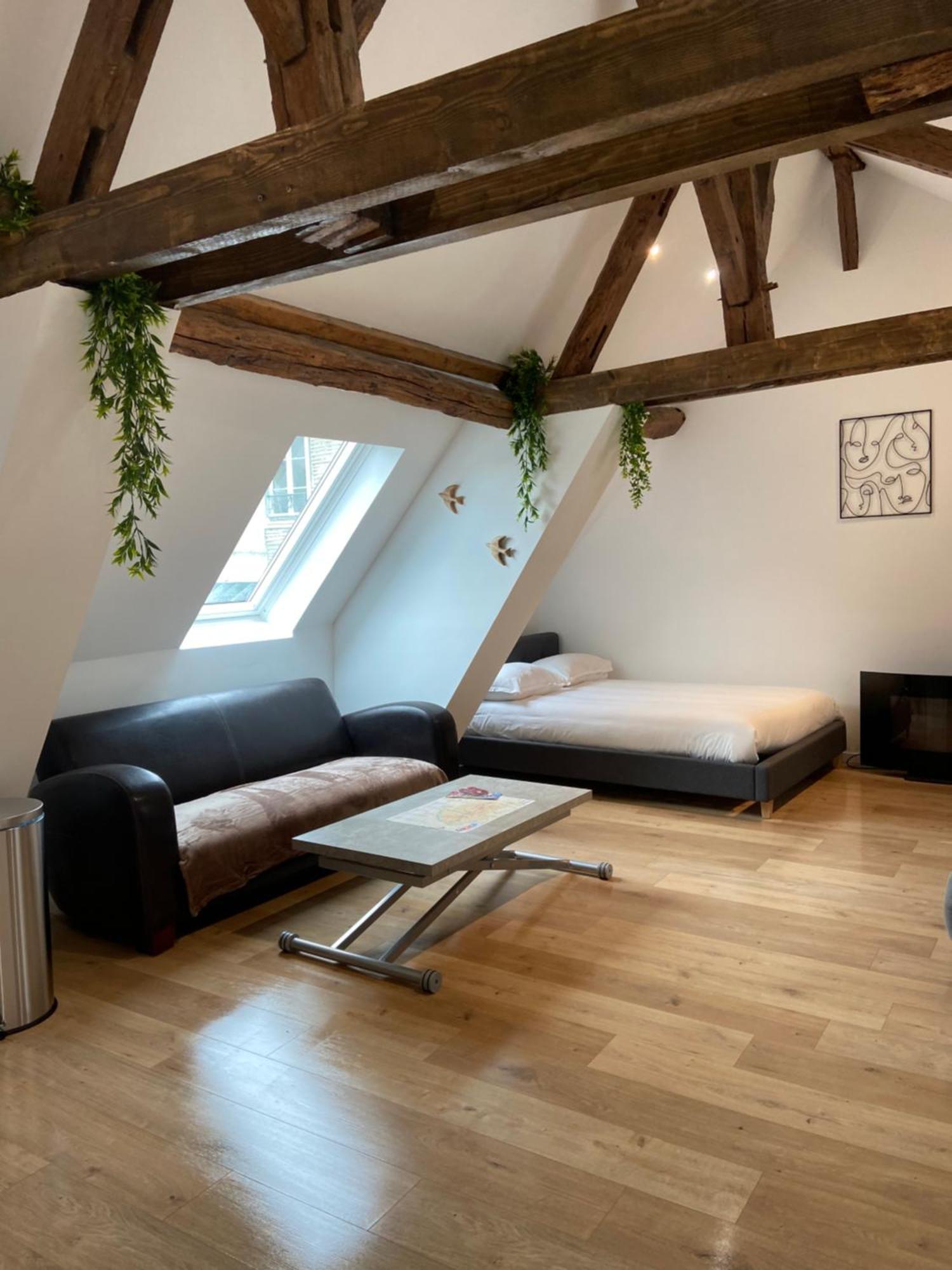 La Champenoise La Tannerie Apartment Troyes Luaran gambar