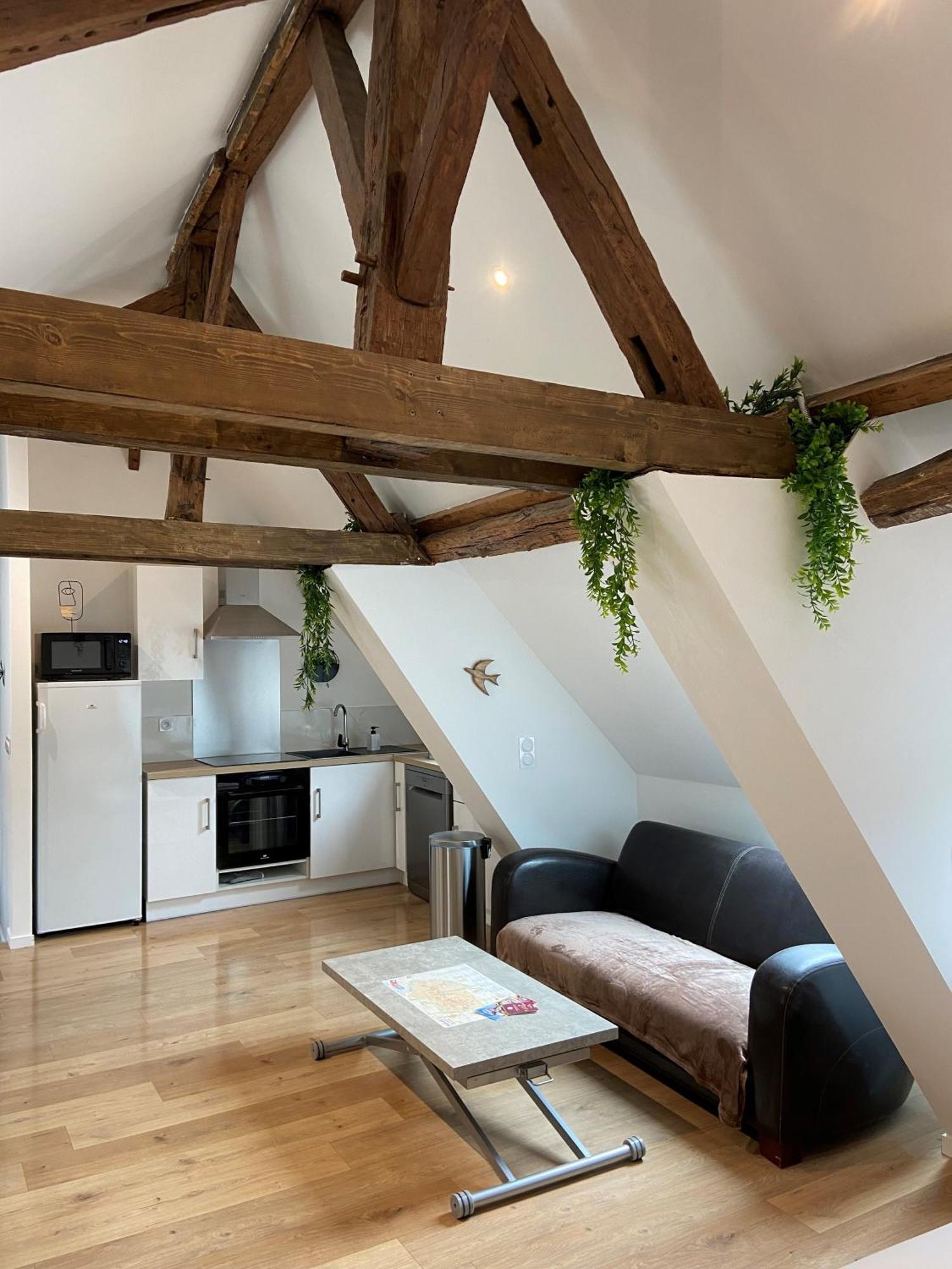 La Champenoise La Tannerie Apartment Troyes Luaran gambar