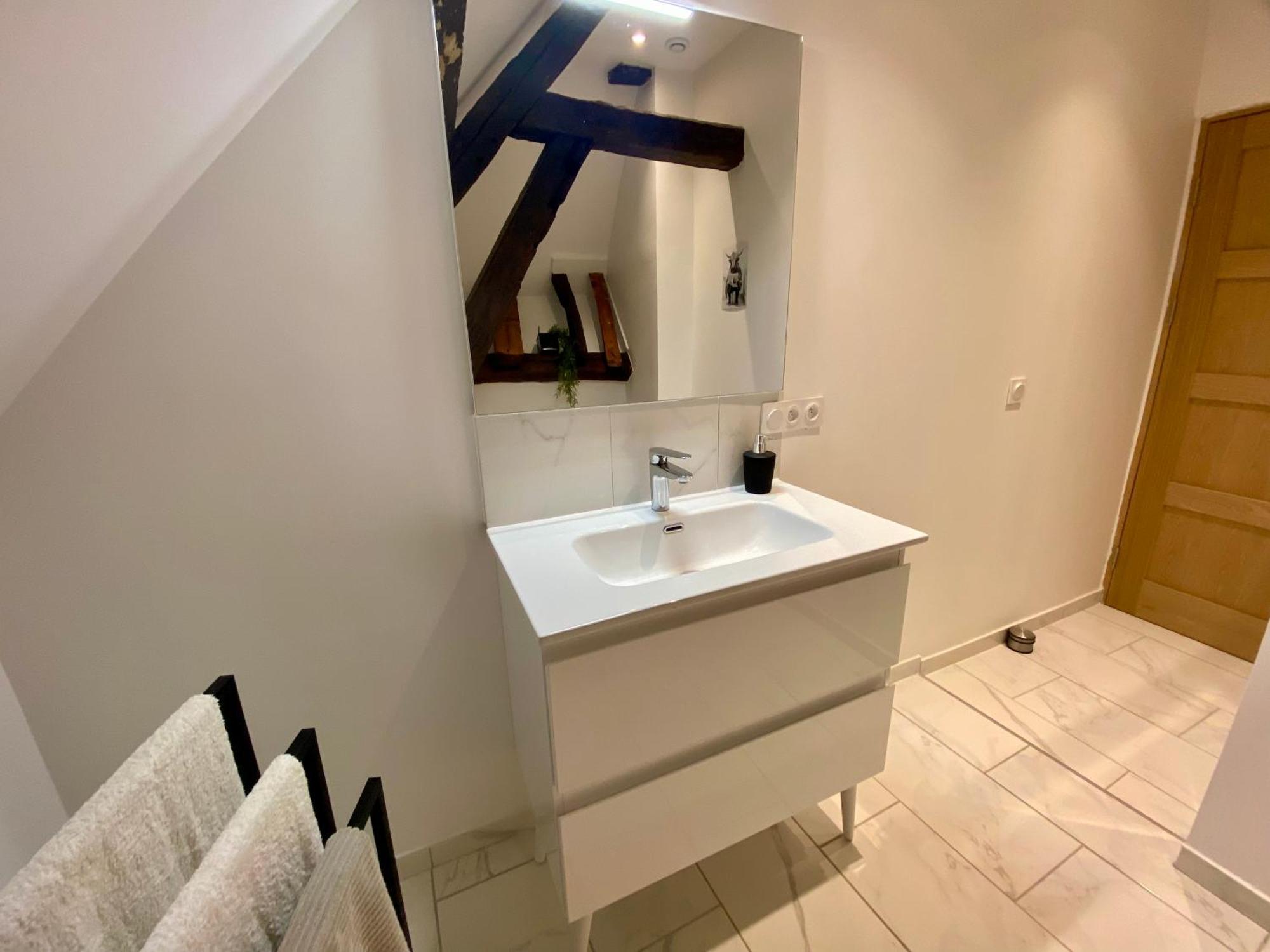 La Champenoise La Tannerie Apartment Troyes Luaran gambar