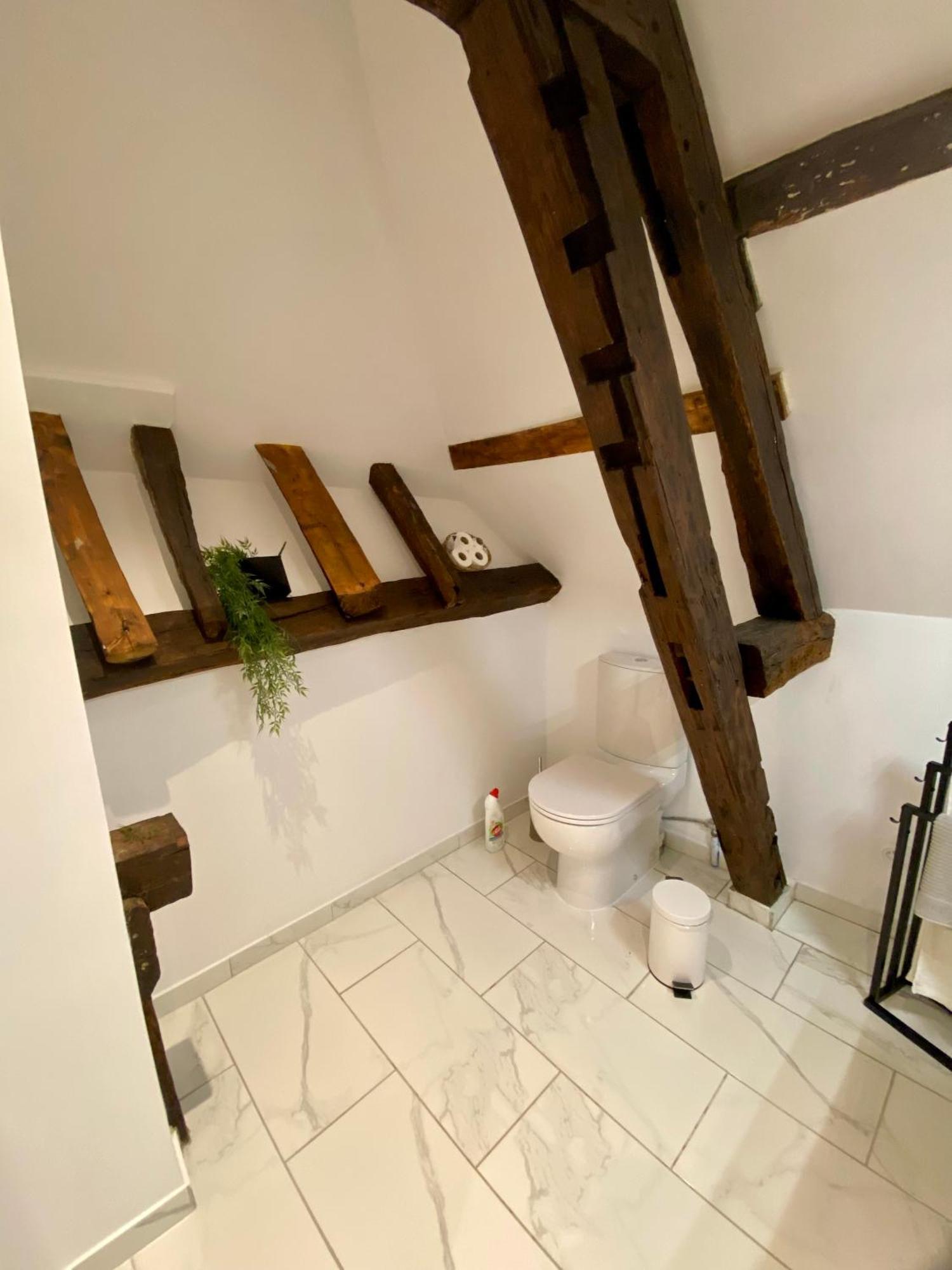 La Champenoise La Tannerie Apartment Troyes Luaran gambar