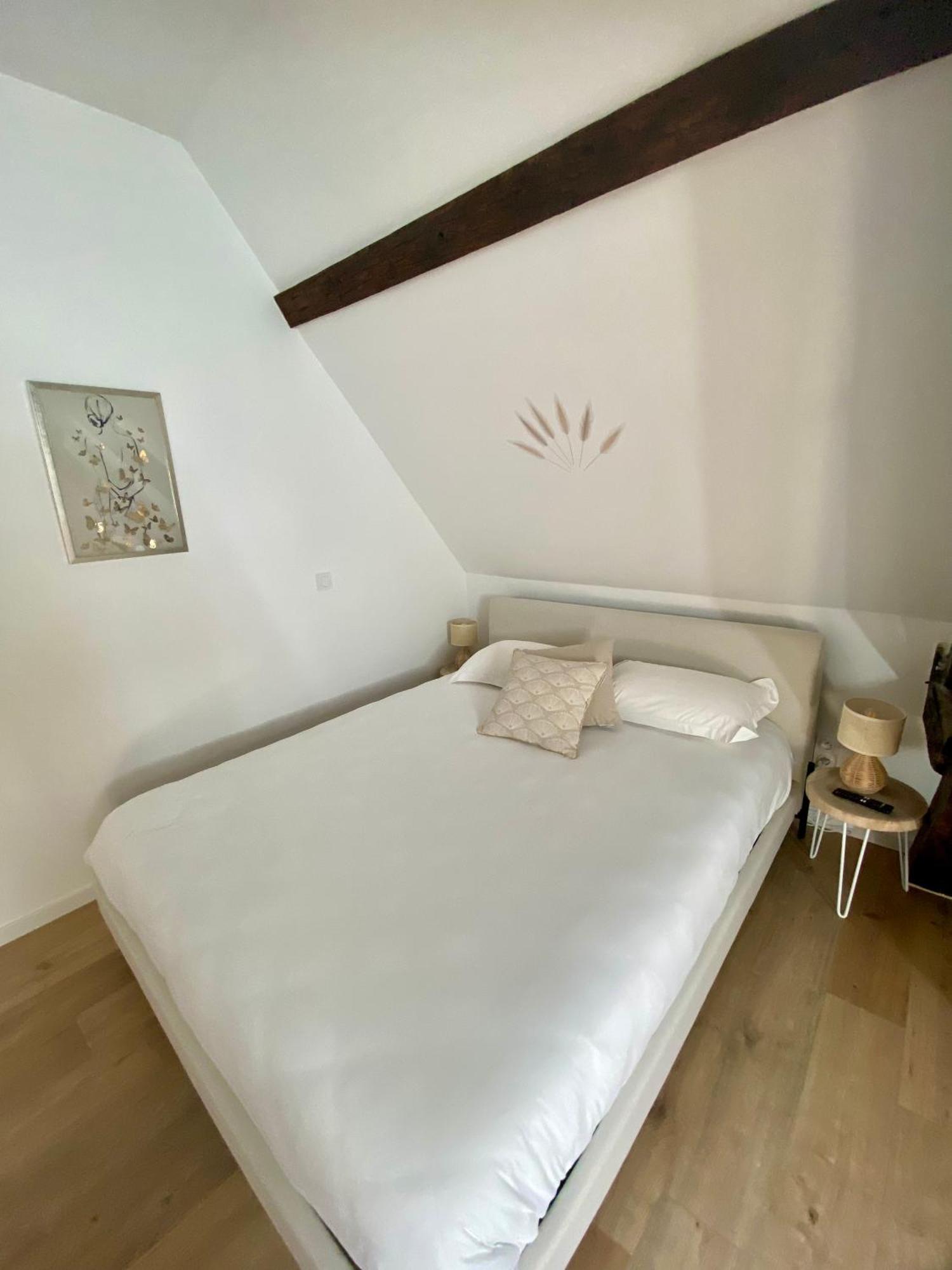 La Champenoise La Tannerie Apartment Troyes Luaran gambar