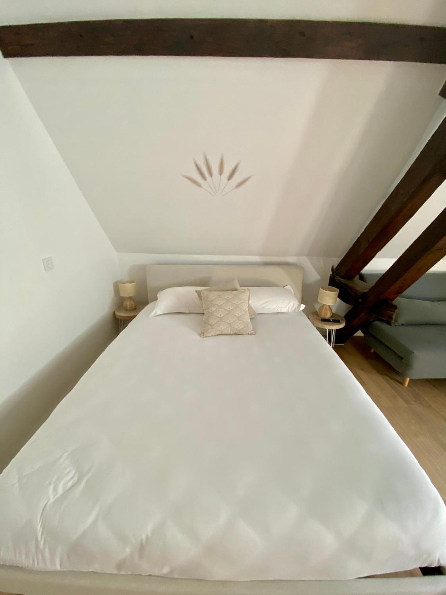 La Champenoise La Tannerie Apartment Troyes Luaran gambar