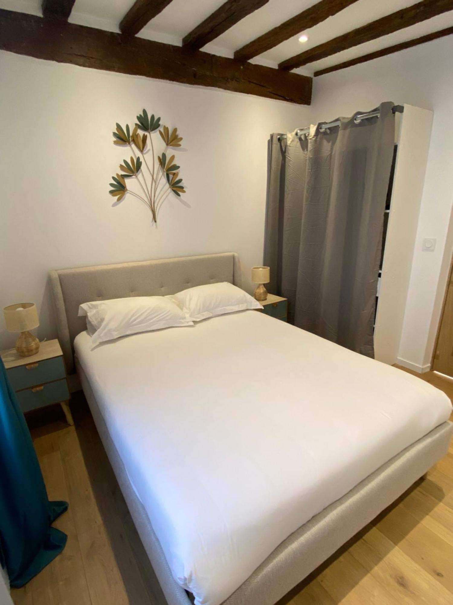 La Champenoise La Tannerie Apartment Troyes Luaran gambar