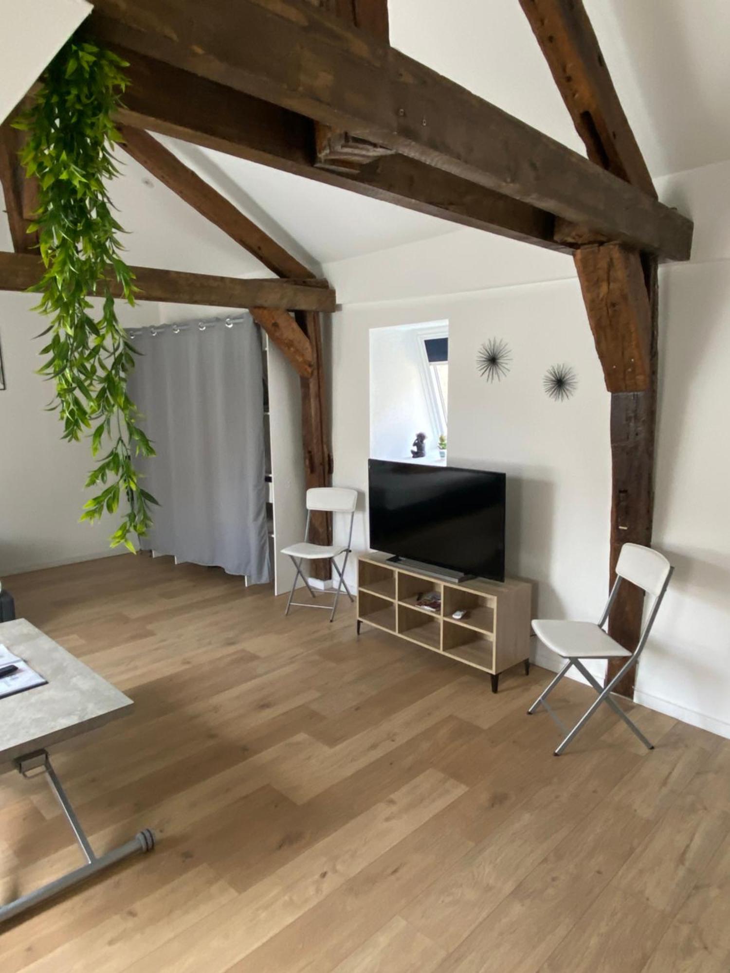 La Champenoise La Tannerie Apartment Troyes Luaran gambar