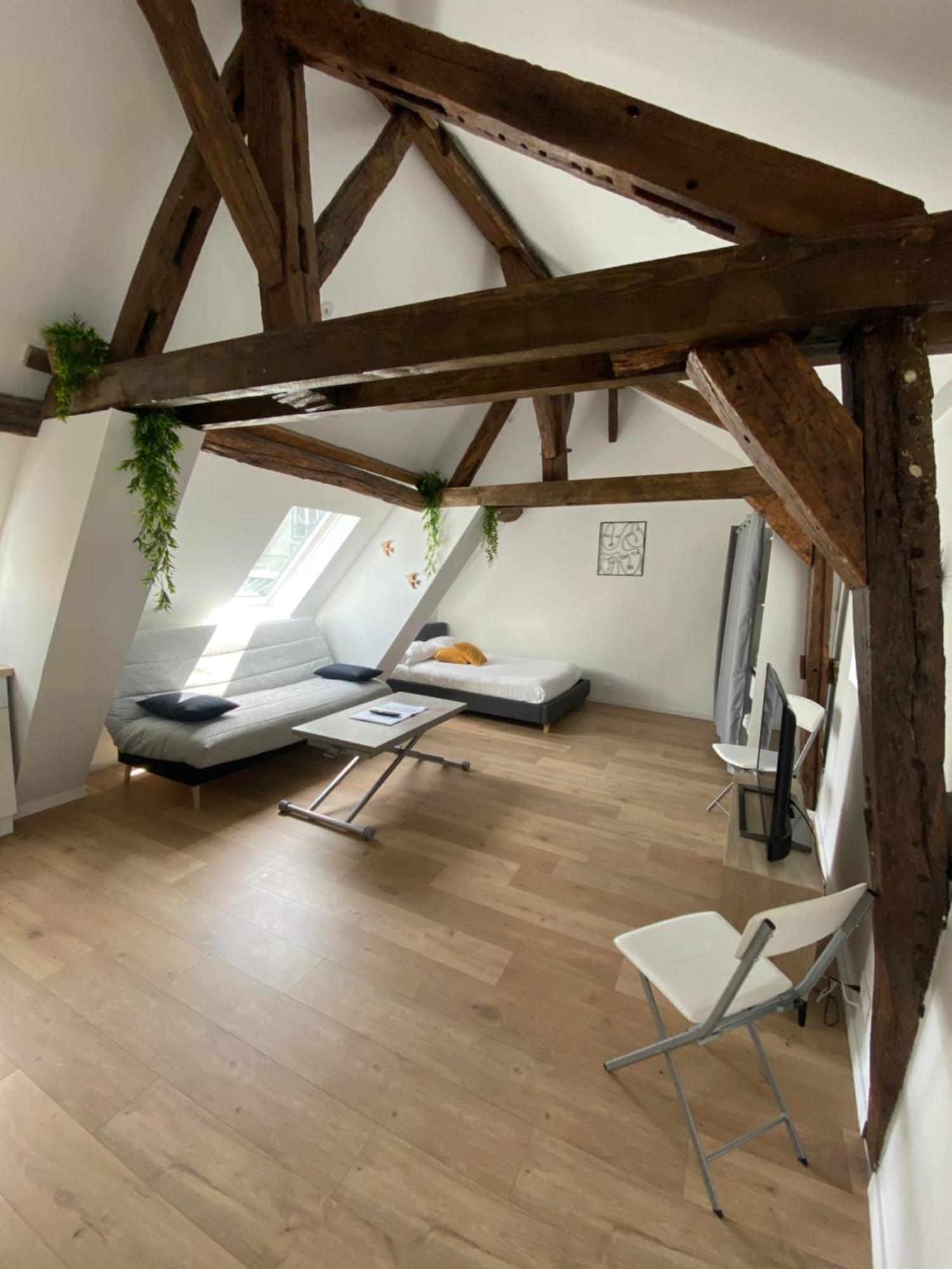 La Champenoise La Tannerie Apartment Troyes Luaran gambar