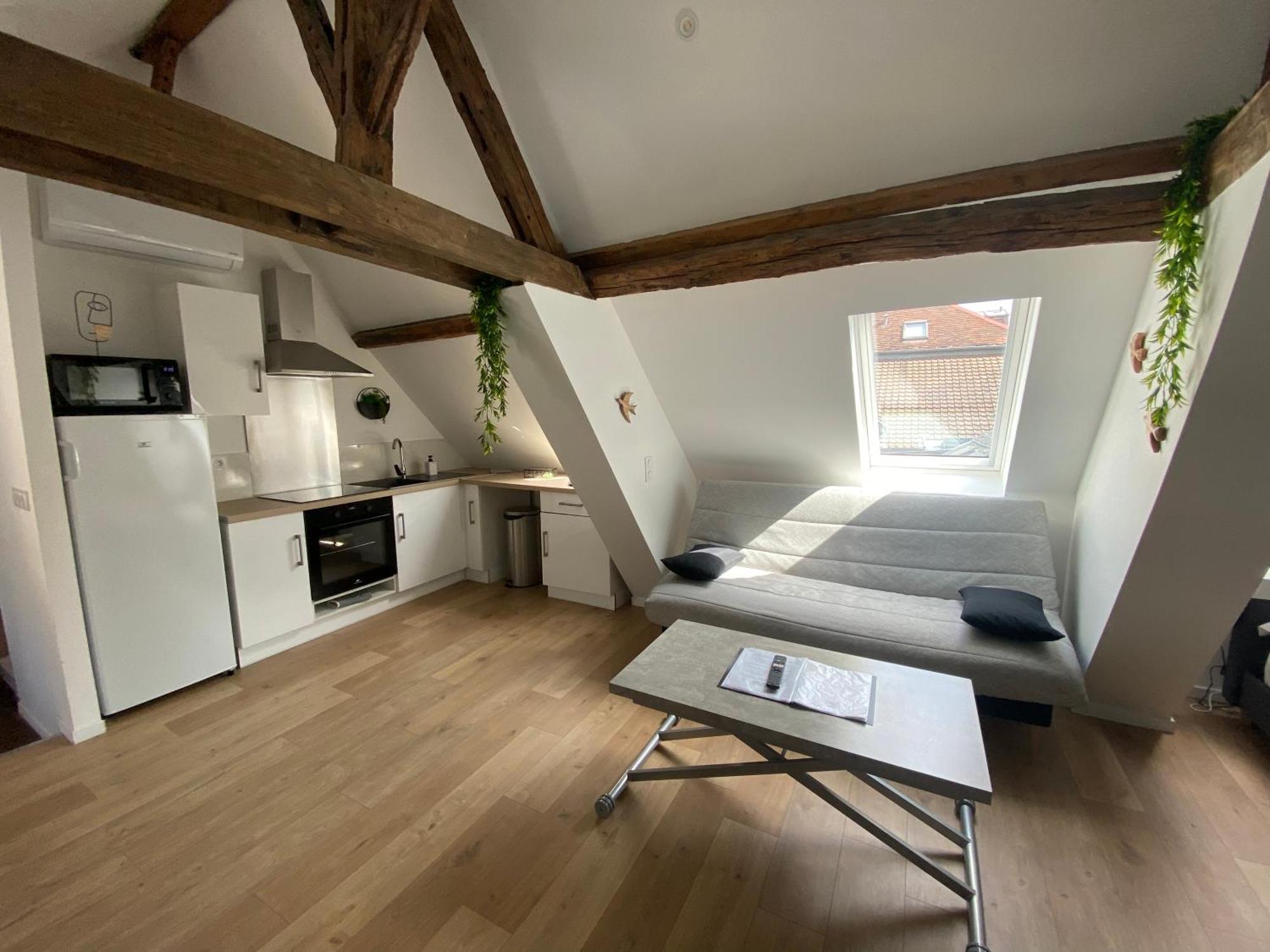 La Champenoise La Tannerie Apartment Troyes Luaran gambar
