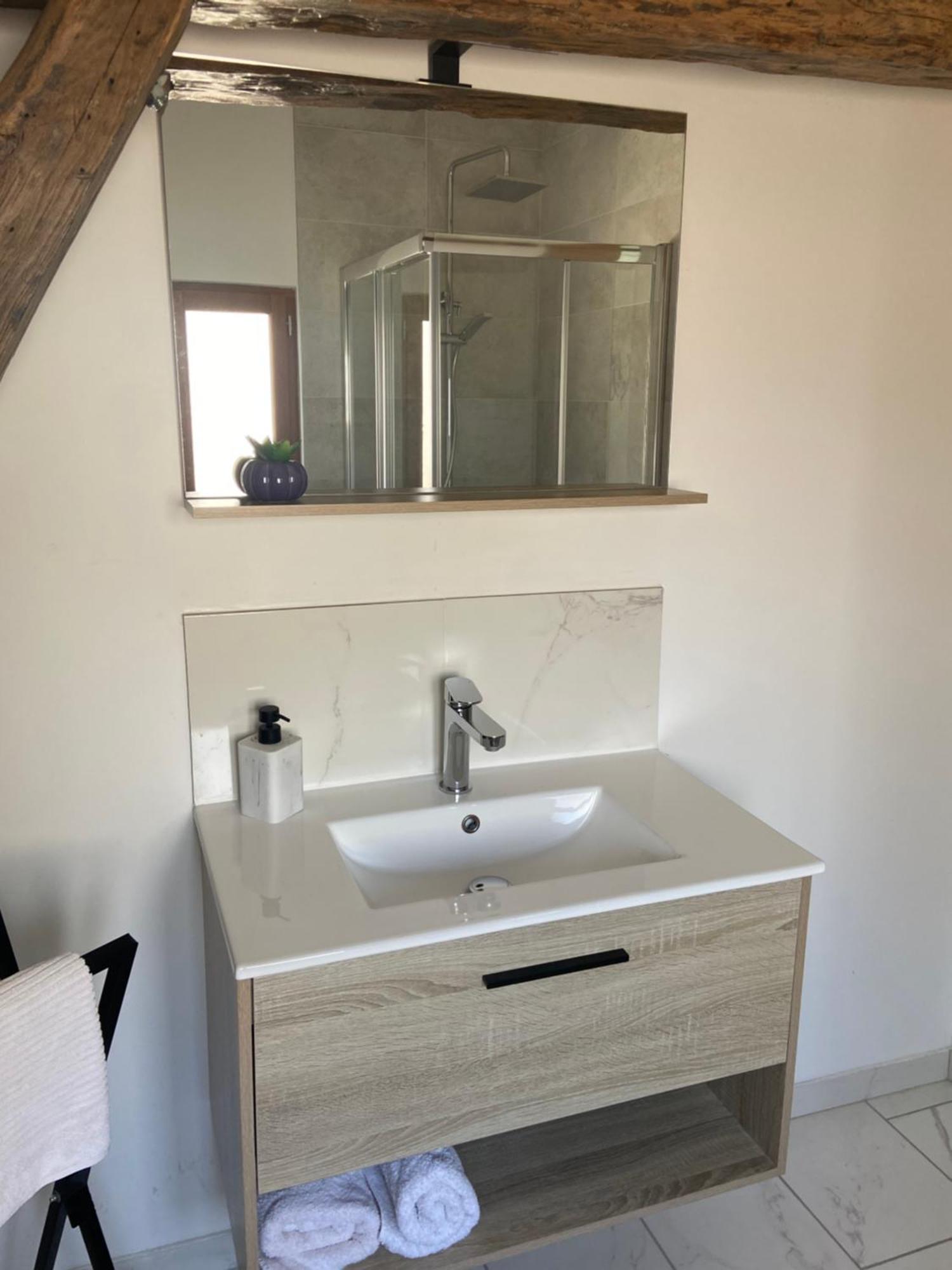 La Champenoise La Tannerie Apartment Troyes Luaran gambar