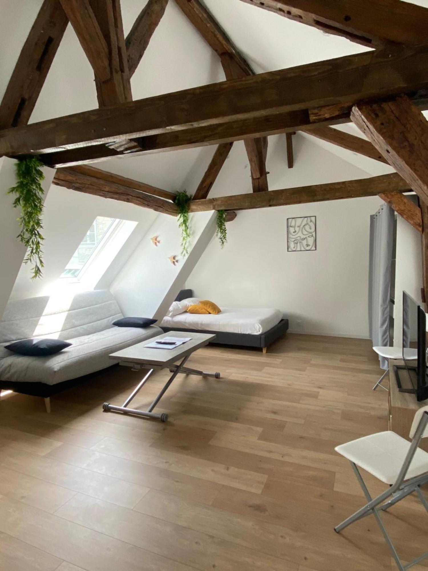 La Champenoise La Tannerie Apartment Troyes Luaran gambar